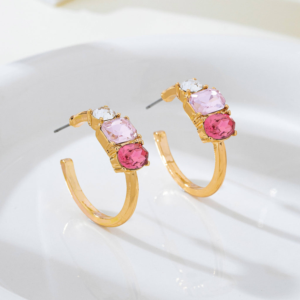 Rosy Gradient Crystal Hoop Earrings | 80E62449